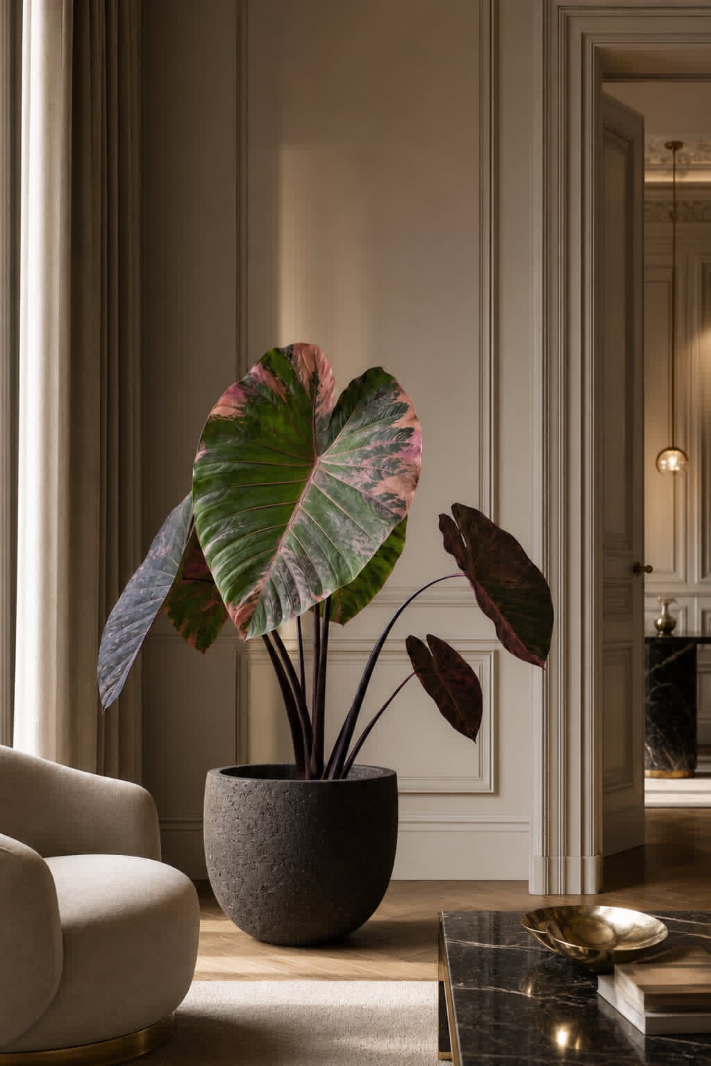Colocasia téli gondozása